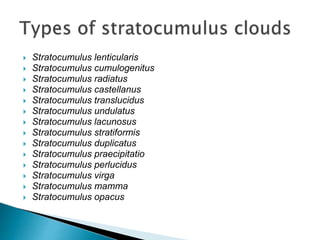  Stratocumulus lenticularis
 Stratocumulus cumulogenitus
 Stratocumulus radiatus
 Stratocumulus castellanus
 Stratocumulus translucidus
 Stratocumulus undulatus
 Stratocumulus lacunosus
 Stratocumulus stratiformis
 Stratocumulus duplicatus
 Stratocumulus praecipitatio
 Stratocumulus perlucidus
 Stratocumulus virga
 Stratocumulus mamma
 Stratocumulus opacus
 