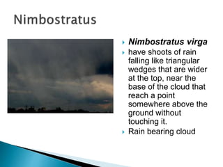  Nimbostratus virga
 have shoots of rain
falling like triangular
wedges that are wider
at the top, near the
base of the cloud that
reach a point
somewhere above the
ground without
touching it.
 Rain bearing cloud
 
