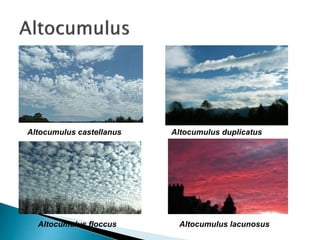 Altocumulus castellanus Altocumulus duplicatus
Altocumulus floccus Altocumulus lacunosus
 