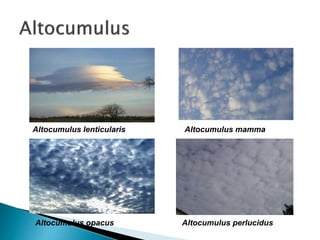 Altocumulus lenticularis Altocumulus mamma
Altocumulus opacus Altocumulus perlucidus
 