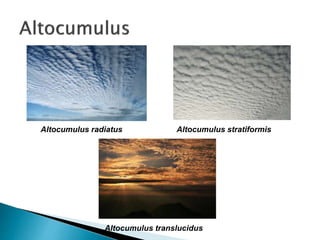 Altocumulus radiatus Altocumulus stratiformis
Altocumulus translucidus
 