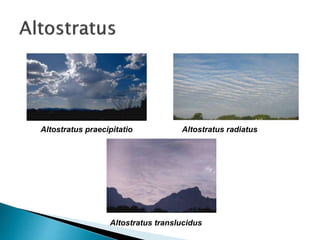 Altostratus praecipitatio Altostratus radiatus
Altostratus translucidus
 