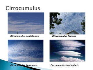 Cirrocumulus castellanus
Cirrocumulus lenticularisCirrocumulus lacunosus
Cirrocumulus floccus
 