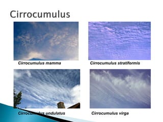 Cirrocumulus mamma Cirrocumulus stratiformis
Cirrocumulus undulatus Cirrocumulus virga
 