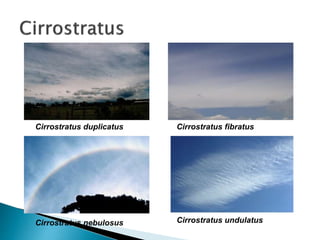 Cirrostratus duplicatus Cirrostratus fibratus
Cirrostratus nebulosus Cirrostratus undulatus
 
