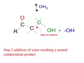 Step 3 addition of water resulting a neutral
condensation product
OH2
R
C
C
C
OH -OH
O
+
New C-C Bond
 