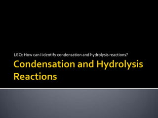 Condensation and Hydrolysis Reactions LEQ: How can I identify condensation and hydrolysis reactions? 