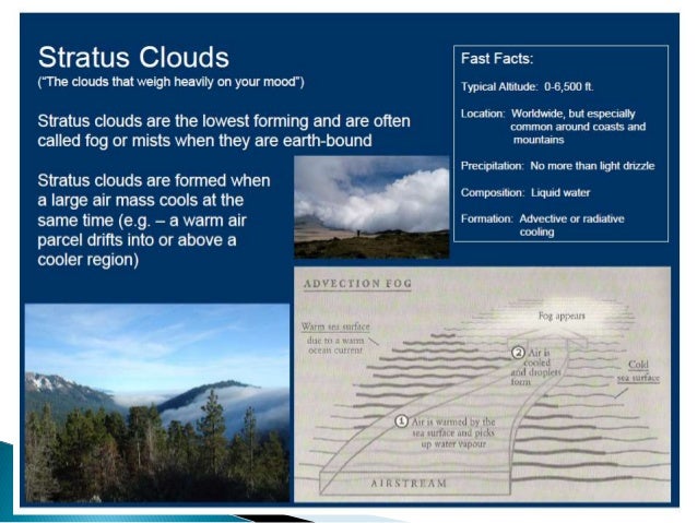 stratus clouds facts