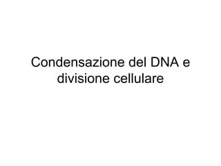 Condensazione del DNA e divisione cellulare 