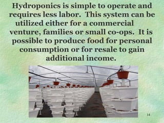 Hydroponics is simple to operate and requires less labor.  This system can be utilized either for a commercial  venture, families or small co-ops.  It is  possible to produce food for personal consumption or for resale to gain additional income.  