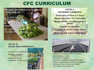 CFC CURRICULUM 