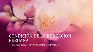 CONDICIÓN DE LA EDUCACIÓN 
PERUANA 
Jerifer Díaz Zúñiga – UNIVERSIDAD CESAR VALLEJO 
 