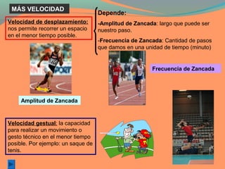MÁS VELOCIDAD
                                    Depende:
Velocidad de desplazamiento:        -Amplitud de Zancada: largo que puede ser
nos permite recorrer un espacio     nuestro paso.
en el menor tiempo posible.
                                    -Frecuencia de Zancada: Cantidad de pasos
                                    que damos en una unidad de tiempo (minuto)


                                                        Frecuencia de Zancada




     Amplitud de Zancada



Velocidad gestual: la capacidad
para realizar un movimiento o
gesto técnico en el menor tiempo
posible. Por ejemplo: un saque de
tenis.
 