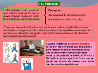 FLEXIBILIDAD

La Flexibilidad: es la capacidad         Depende:
para realizar movimientos con la
mayor amplitud posible sin dañar         -La movilidad de las articulaciones.
los músculos ni las articulaciones       -La elasticidad de los músculos.


Tener una buena flexibilidad es importante para realizar cantidad de acciones
cotidianas, como ponernos los calcetines, atarnos las zapatillas, arrascarnos la
espalda, etc. También nos ayuda a prevenir las malas posturas y las lesiones
por acortamiento del músculo.


                                      Cuando hablamos de estiramientos,
                                      éstos son los ejercicios que realizamos
                                      para mantener una buena flexibilidad.
                                      Los estiramientos hay que hacerlos
                                      antes y después de la actividad física. La
                                      Flexibilidad es la capacidad física que se
                                      pierde con la edad de manera más rápida
                                      que las demás capacidades.
 