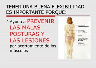 TENER UNA BUENA FLEXIBILIDAD
ES IMPORTANTE PORQUE:

Ayuda a PREVENIR
LAS MALAS
POSTURAS Y
LAS LESIONES
por acortamiento de los
músculos
 