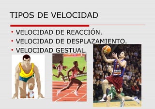TIPOS DE VELOCIDAD

VELOCIDAD DE REACCIÓN.

VELOCIDAD DE DESPLAZAMIENTO.

VELOCIDAD GESTUAL.
 