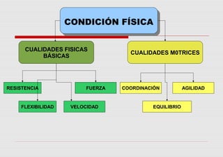 CONDICIÓN FÍSICACONDICIÓN FÍSICA
CUALIDADES FISICAS
BÁSICAS
CUALIDADES M0TRICES
RESISTENCIA
FLEXIBILIDAD
FUERZA
VELOCIDAD
COORDINACIÓN
EQUILIBRIO
AGILIDAD
 