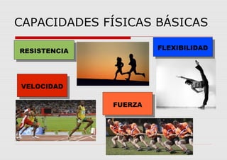 CAPACIDADES FÍSICAS BÁSICAS
RESISTENCIARESISTENCIA FLEXIBILIDADFLEXIBILIDAD
VELOCIDADVELOCIDAD
FUERZAFUERZA
 