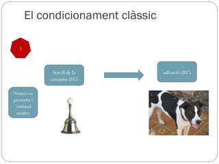 El condicionament clàssic salivació (RC) Soroll de la campana (EC) 3 Només es presenta l´estímul neutre 