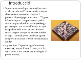 Introducció Suposem un animal que es mou d´un costat a l´altre explorant l´entorn on viu: ensuma al seu voltant, remou tot el que se li presenta i investiga per tot arreu ... Té gana i algun d´aquests comportaments poden anar acompanyades d´un premi ( reforç ): per exemple, pot ser que l´animal aixequi una pedra i trobi a sota un cuc. Si aquest encert després es repeteix un cert nombre de cops, l´animal aprèn a realitzar aquest comportament quan es trobi en una situació similar. Aquest tipus d´aprenentatge s´anomena  operant , perquè l´animal  opera , és a dir, actua sobre el seu entorn per aconseguir el premi o reforç. 