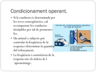 Condicionament operant. Si la conducta és determinada per les seves conseqüències, cal recompensar les conductes desitjables per tal de promoure-les. Un animal o subjecte pot controlar la freqüència de la resposta i determinar la quantitat del reforçament. La freqüència i consistència de la resposta són els índexs de l´aprenentatge. 