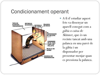 Condicionament operant A fi d´estudiar aquest fets va dissenyar un aparell conegut com a  gàbia o caixa de Skinner , que és un recinte tancat amb una palanca en una paret de la gàbia i un dispensador per presentar menjar quan es pressiona la palanca.  