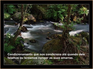 Condicionamento que nos condiciona até quando dele falamos ou tentamos romper as suas amarras. 