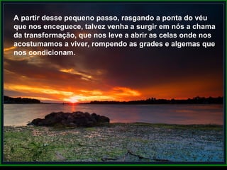 A partir desse pequeno passo, rasgando a ponta do véu que nos enceguece, talvez venha a surgir em nós a chama da transformação, que nos leve a abrir as celas onde nos acostumamos a viver, rompendo as grades e algemas que nos condicionam. A partir desse pequeno passo, rasgando a ponta do véu que nos enceguece, talvez venha a surgir em nós a chama da transformação, que nos leve a abrir as celas onde nos acostumamos a viver, rompendo as grades e algemas que nos condicionam. 