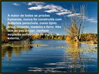 A maior de todas as prisões humanas, nunca foi construída com materiais perecíveis, como tijolo, areia, cimento, madeira e ferro. Não tem ao seu dispor, nenhum esquema sofisticado de vigilância externa,  