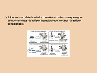 Condicionamento de ivan pavlov | PPTX