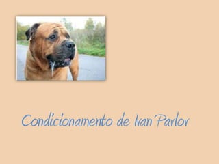 Condicionamento de Ivan Pavlov

 