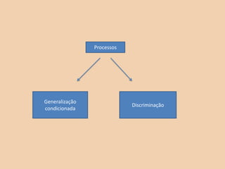Processos

Generalização
condicionada

Discriminação

 