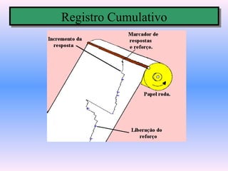 Registro Cumulativo
Registro Cumulativo
 