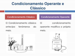 Condicionamento Operante e
Clássico
O Condicionamento clássico
antecipa fenómenos do
meio.
O condicionamento
operante modifica o próprio
meio.
Condicionamento Clássico Condicionamento Operante
 