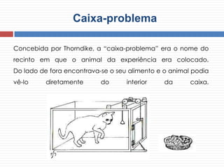 Caixa-problema
Concebida por Thorndike, a “caixa-problema” era o nome do
recinto em que o animal da experiência era colocado.
Do lado de fora encontrava-se o seu alimento e o animal podia
vê-lo diretamente do interior da caixa.
 