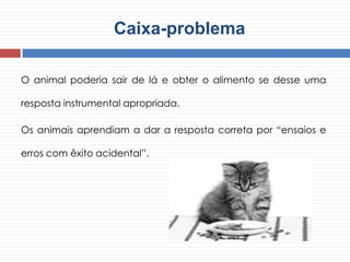 Caixa-problema
O animal poderia sair de lá e obter o alimento se desse uma
resposta instrumental apropriada.
Os animais aprendiam a dar a resposta correta por “ensaios e
erros com êxito acidental”.
 