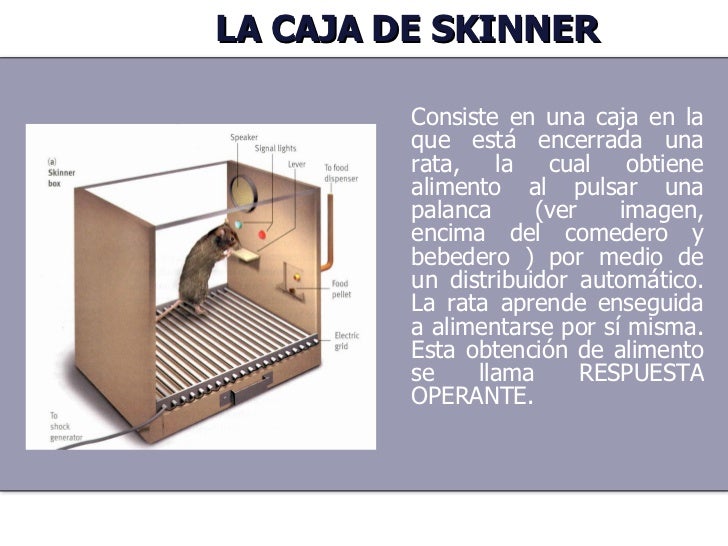Condicionamiento Primera Parte