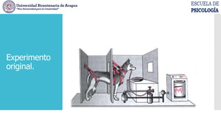 Experimento
original.
 