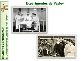 CONDUCTA Y APRENDIZAJE
El Condicionamiento Clásico de Iván Pavlov
                                             Experimentos de Pavlov
 