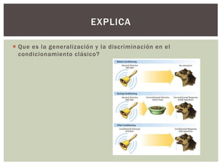 EXPLICA
 Que es la generalización y la discriminación en el
condicionamiento clásico?

 