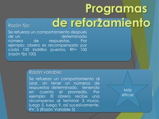 Razón fija:
Se refuerza un comportamiento después
de un determinado
número de respuestas. Por
ejemplo: obrero es recompensado por
cada 100 ladrillos puestos. RF= 100
(razón fija 100)
Razón variable:
Se refuerza un comportamiento al
azar, sin tener un números de
respuestas determinado, teniendo
en cuenta el promedio. Por
ejemplo: El obrero recibe una
recompensa al terminar 3 muros,
luego 5, luego 9, así sucesivamente.
RV: 5 (Razón Variable 5)
Más
eficaz
 