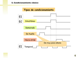 Tipos de condicionamiento EI EC Simultáneo Demorado De huella Hacia atrás EI Temporal De muy poco efecto 5. Condicionamiento clásico  