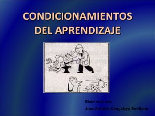CONDICIONAMIENTOS DEL APRENDIZAJE Elaborado por: Jose Antonio Cangalaya Sevillano 