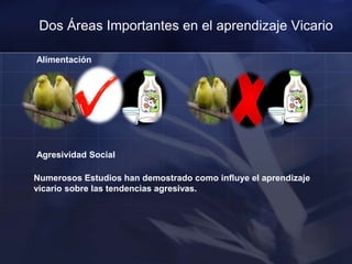 Teoría de Miller- Dollard  Los cambios en la conducta del observador se deben a la consecuencias de ésta no a las de modelo.Porque los actos imitativos incluso se da sino hay reforzamiento? Generalización. $%&&@ !!!