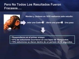 Pero No Todos Los Resultados Fueron Fracasos….Warden y Jackson en 1935 realizaron este estudio:Jalar una Cadena      Abría una puerta     Una pasaRespondieron en el primer ensayo 