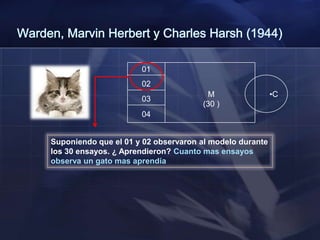 47% las soluciones ocurrieron en una lapso de 10segundos.
