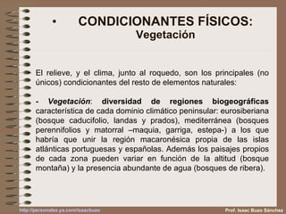 CONDICIONANTES FÍSICOS: Vegetación Prof. Isaac Buzo Sánchez El relieve, y el clima, junto al roquedo, son los principales (no únicos) condicionantes del resto de elementos naturales: - Vegetación :  diversidad de regiones biogeográficas  característica de cada dominio climático peninsular: eurosiberiana (bosque caducifolio, landas y prados), mediterránea (bosques perennifolios y matorral –maquia, garriga, estepa-) a los que habría que unir la región macaronésica propia de las islas atlánticas portuguesas y españolas. Además los paisajes propios de cada zona pueden variar en función de la altitud (bosque montaña) y la presencia abundante de agua (bosques de ribera). 