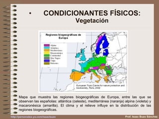 CONDICIONANTES FÍSICOS: Vegetación Mapa que muestra las regiones biogeográficas de Europa, entre las que se observan las españolas: atlántica (celeste), mediterránea (naranja) alpina (violeta) y macaronésica (amarilla). El clima y el relieve influye en la distribución de las regiones biogeográficas. Prof. Isaac Buzo Sánchez 