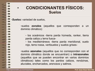 CONDICIONANTES FÍSICOS: Suelos Prof. Isaac Buzo Sánchez Suelos:  variedad de suelos,  suelos  zonales  (aquellos que corresponden a un dominio climático):  los oceánicos -tierra parda húmeda, ranker, tierra parda caliza y terra fusca-  los mediterráneos -tierra parda meridional, suelo rojo, terra rossa, vertisuelos y suelos grises- suelos  azonales  (aquellos que no corresponden con el dominio climático donde se encuentran) o  intrazonales  (aquellos que se pueden encontrar en varios dominios climáticos) tales como los pardos calizos, rendzinas, aluviales, encharcados, arenosos y salinos. 
