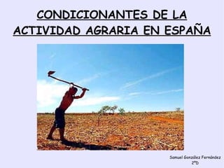 CONDICIONANTES DE LA ACTIVIDAD AGRARIA EN ESPAÑA Samuel González Fernández 2ºD 